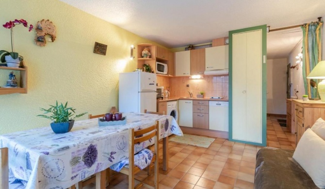 Studio Saint-Lary-Soulan, 1 pièce, 4 personnes - FR-1-296-237