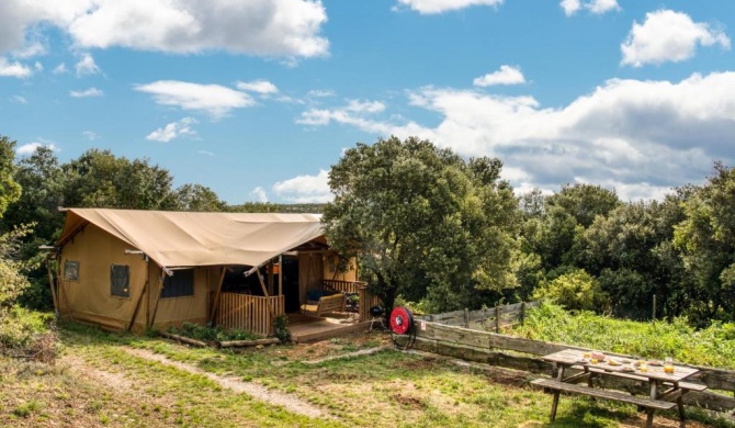 Glamping Tent Joy