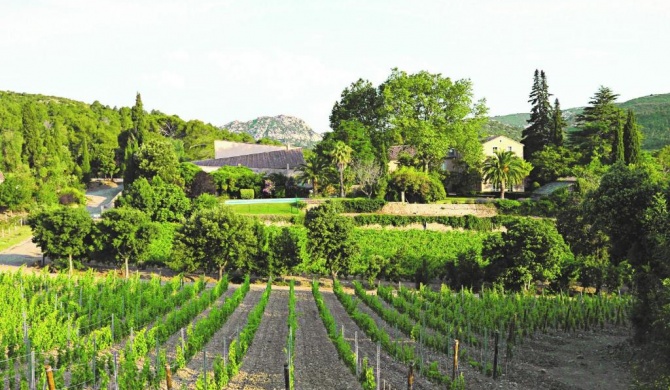 Château Haut Gléon