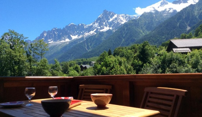 Facing the Chamonix Needles