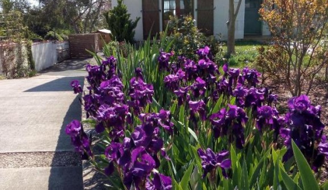 Hébergement privatif en maison - jardin calme Montreuil-Bellay - Sud SAUMUR